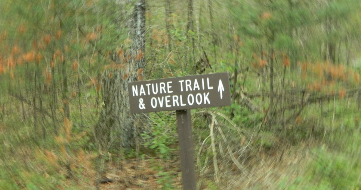 Running App Privacy: What Your GPS Data Reveals and How to Protect It